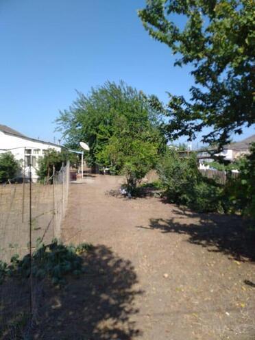 3 otaqlı həyət evi/bağ evi - Lənkəran - 65 m² (3)