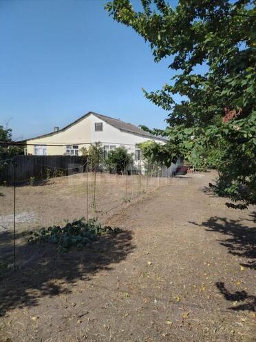 3 otaqlı həyət evi/bağ evi - Lənkəran - 65 m² (4)
