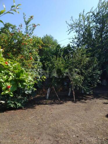 3 otaqlı həyət evi/bağ evi - Lənkəran - 65 m² (7)