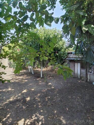 3 otaqlı həyət evi/bağ evi - Lənkəran - 65 m² (5)