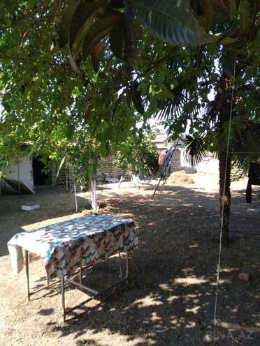 3 otaqlı həyət evi/bağ evi - Lənkəran - 65 m² (9)