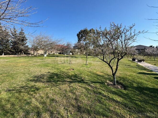 5 otaqlı həyət evi/bağ evi - Bilgəh q. - 180 m² (25)