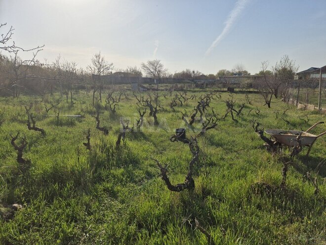 Satılır 3 otaqlı həyət evi/bağ evi 170 m², photo 28 from 32