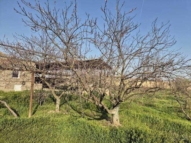 Satılır 3 otaqlı həyət evi/bağ evi 170 m², photo 30 from 32