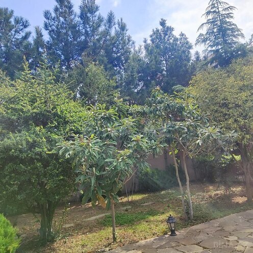 5 otaqlı həyət evi/bağ evi - Mərdəkan q. - 200 m² (25)