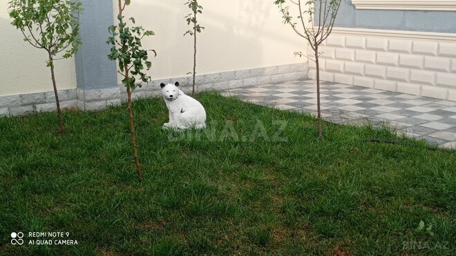 4 otaqlı həyət evi/bağ evi - Buzovna q. - 116 m² (18)