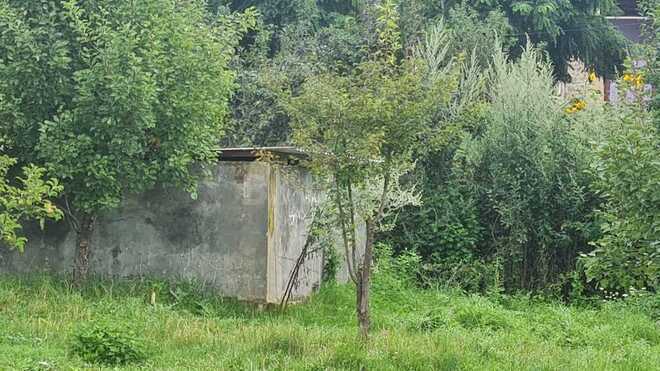 6 otaqlı həyət evi/bağ evi - Gədəbəy - 185 m² (23)