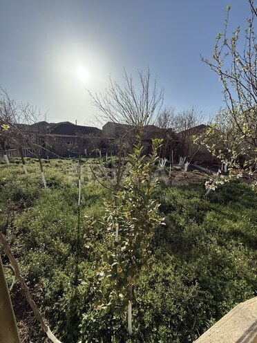 6 otaqlı həyət evi/bağ evi - Mərdəkan q. - 270 m² (4)