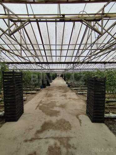 Объект - пос. Тюркан - 220000 м² (5)