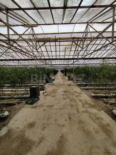 Объект - пос. Тюркан - 220000 м² (2)