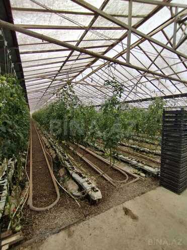 Объект - пос. Тюркан - 220000 м² (3)