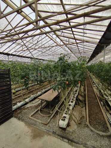 Объект - пос. Тюркан - 220000 м² (4)