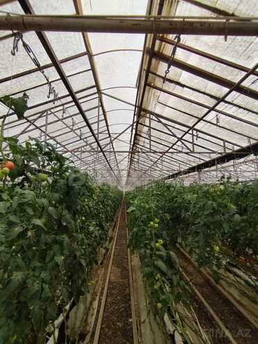 Объект - пос. Тюркан - 220000 м² (1)