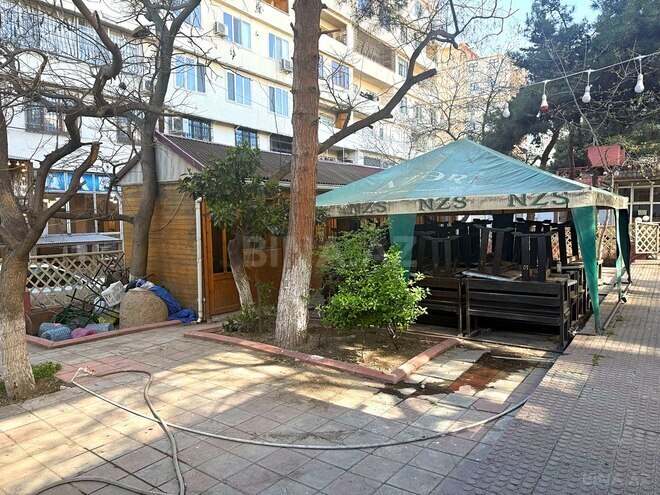 Объект - м. Халглар Достлугу - 500 м² (22)