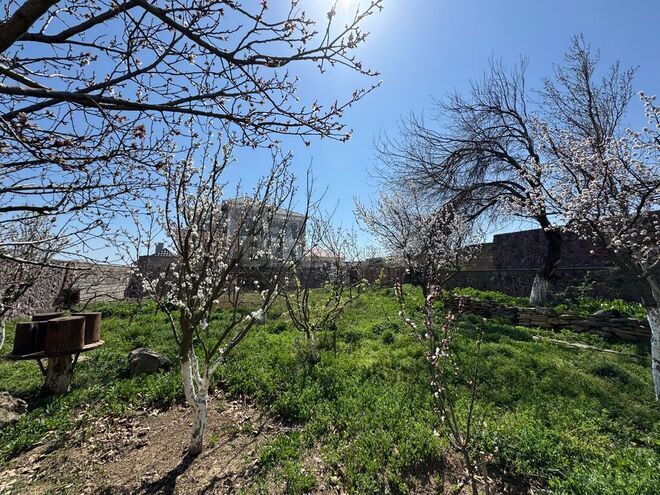 7 otaqlı həyət evi/bağ evi - Badamdar q. - 600 m² (25)