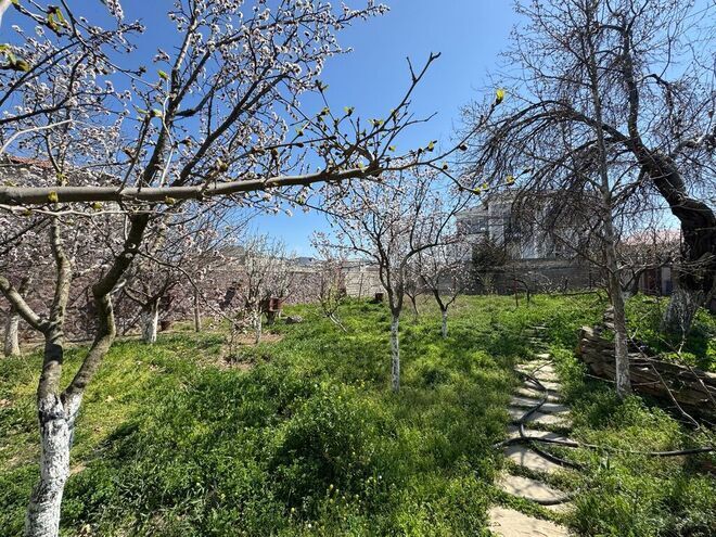 7 otaqlı həyət evi/bağ evi - Badamdar q. - 600 m² (24)