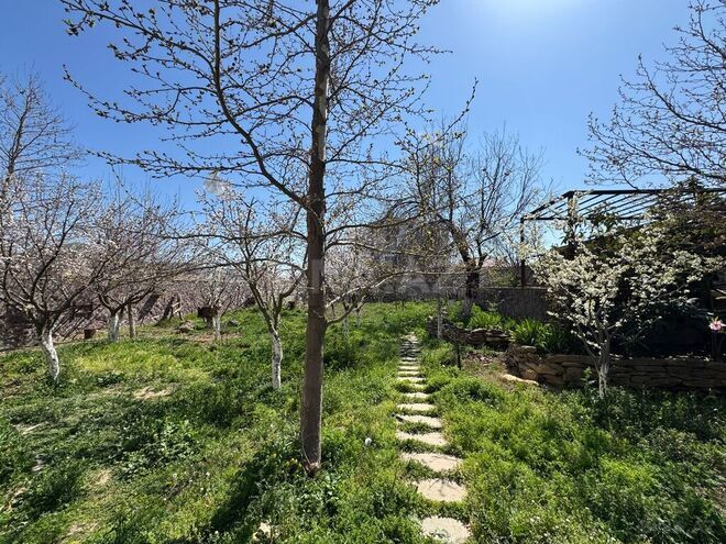7 otaqlı həyət evi/bağ evi - Badamdar q. - 600 m² (27)