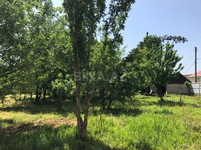 6 otaqlı həyət evi/bağ evi - Lənkəran - 350 m² (8)