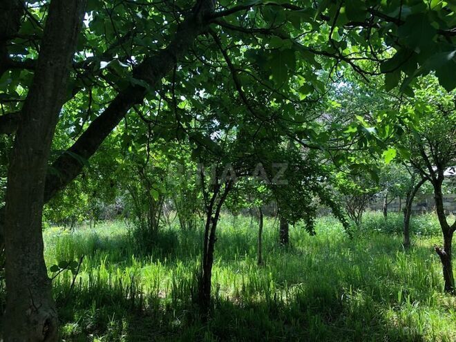 6 otaqlı həyət evi/bağ evi - Lənkəran - 350 m² (10)
