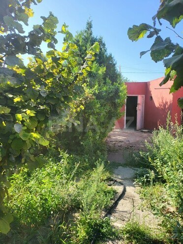 6 otaqlı həyət evi/bağ evi - Həzi Aslanov q. - 300 m² (10)