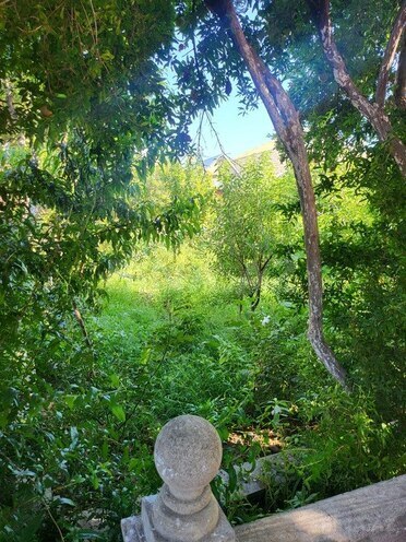 6 otaqlı həyət evi/bağ evi - Həzi Aslanov q. - 300 m² (7)