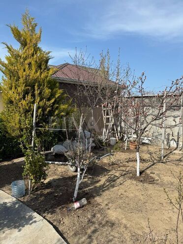 4 otaqlı həyət evi/bağ evi - Buzovna q. - 143 m² (2)