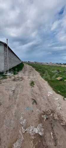 Satılır  torpaq 10 sot, Buzovna q., photo 9 from 11