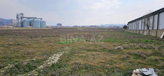 Продаётся  участок 3 000 сот, пос. Гала, photo 3 from 10