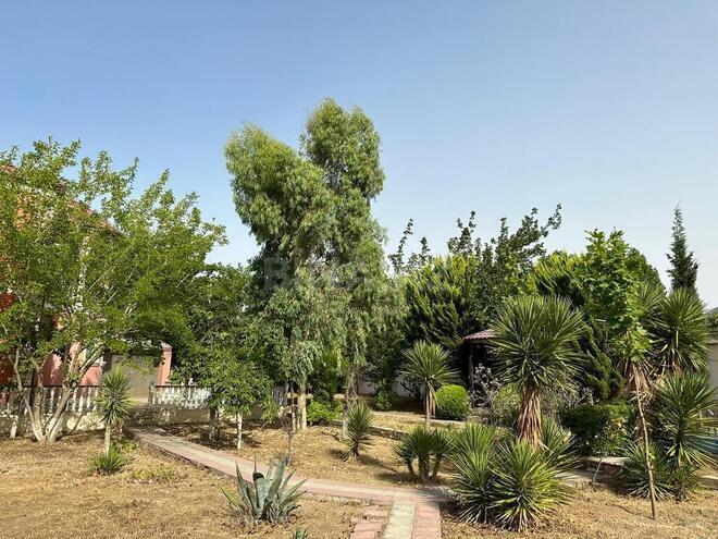 6 otaqlı həyət evi/bağ evi - Novxanı q. - 193 m² (5)