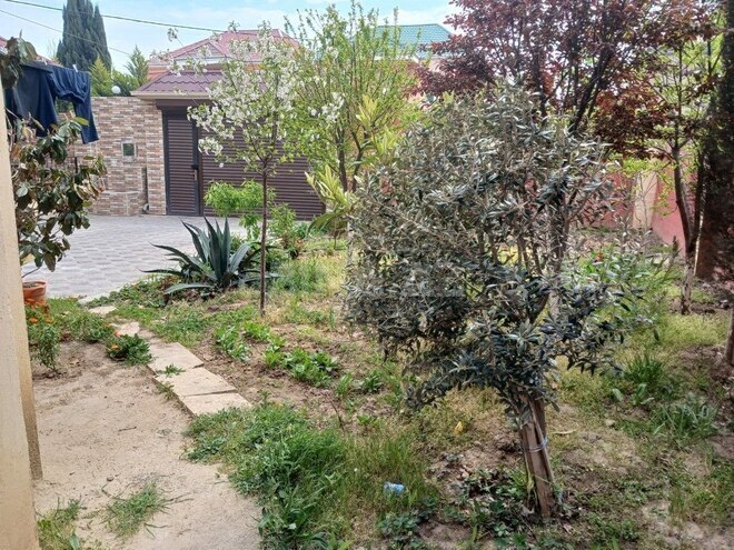 5 otaqlı həyət evi/bağ evi - Biləcəri q. - 220 m² (8)