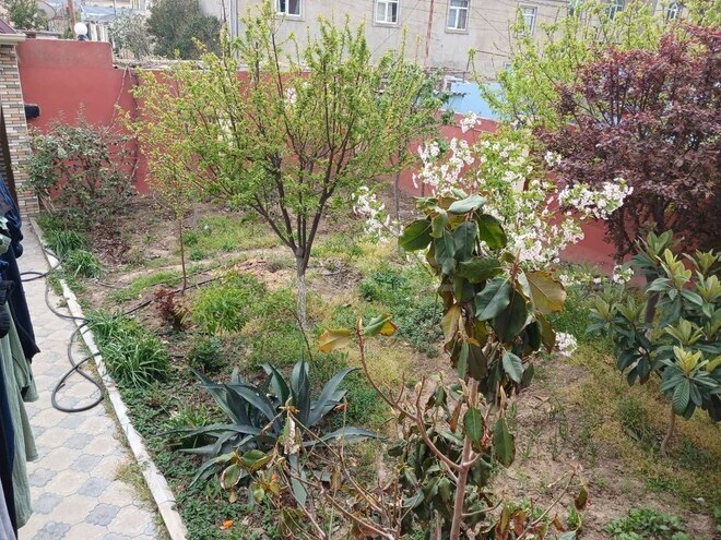 5 otaqlı həyət evi/bağ evi - Biləcəri q. - 220 m² (9)