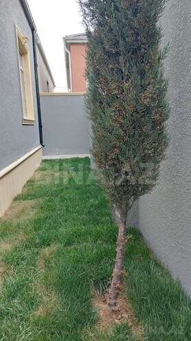 4-комн. дом/дача - пос. Бина - 120 м² (7)