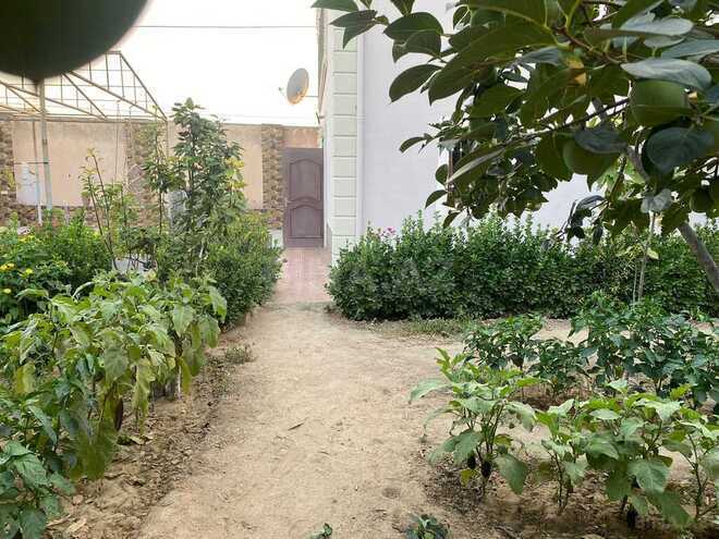 5 otaqlı həyət evi/bağ evi - Buzovna q. - 240 m² (8)