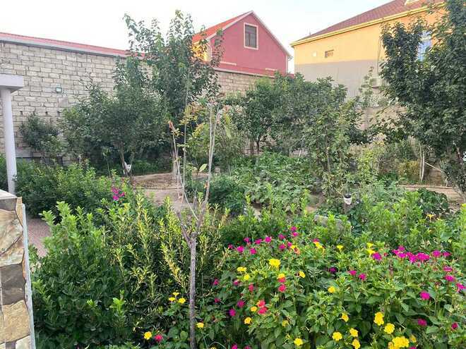 5 otaqlı həyət evi/bağ evi - Buzovna q. - 240 m² (5)