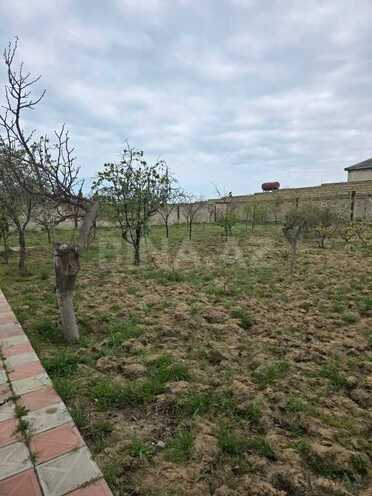 5 otaqlı həyət evi/bağ evi - Novxanı q. - 120 m² (6)