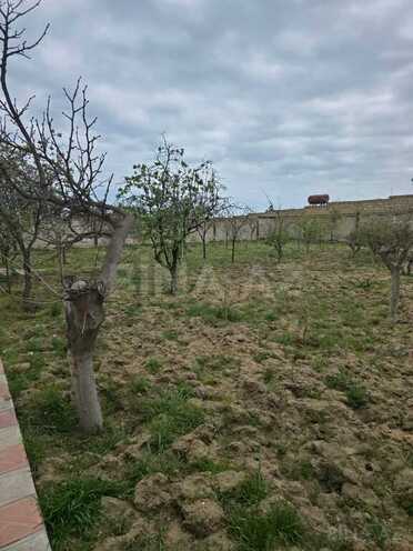 5 otaqlı həyət evi/bağ evi - Novxanı q. - 120 m² (5)