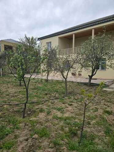 5 otaqlı həyət evi/bağ evi - Novxanı q. - 120 m² (1)
