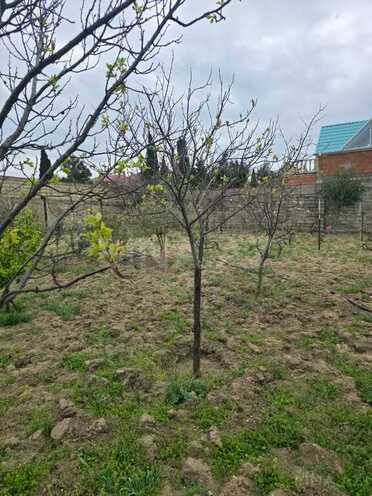 5 otaqlı həyət evi/bağ evi - Novxanı q. - 120 m² (11)