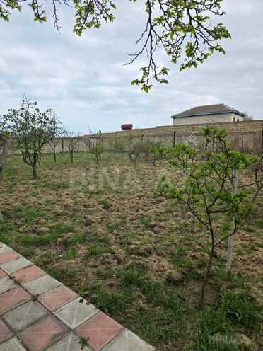 5 otaqlı həyət evi/bağ evi - Novxanı q. - 120 m² (3)