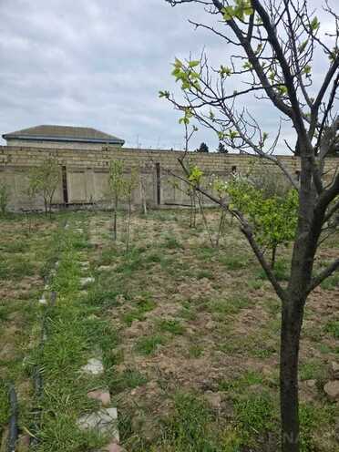 5 otaqlı həyət evi/bağ evi - Novxanı q. - 120 m² (10)