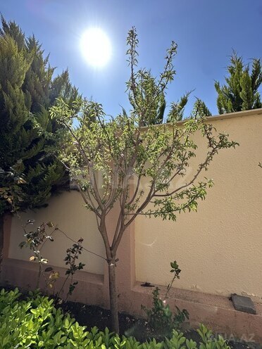 5 otaqlı həyət evi/bağ evi - Bilgəh q. - 220 m² (15)