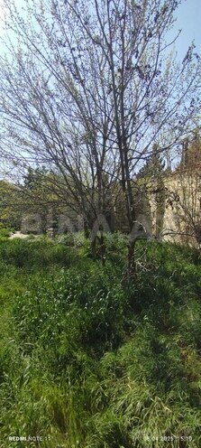 6-комн. дом/дача - пос. Мардакан - 300 м² (4)