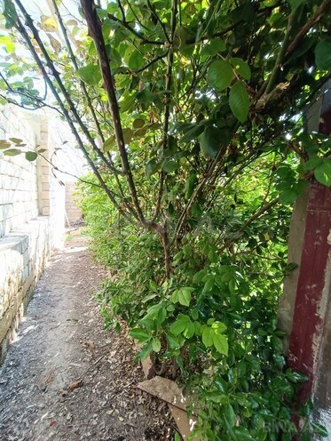 2 otaqlı həyət evi/bağ evi - Masazır q. - 60 m² (1)