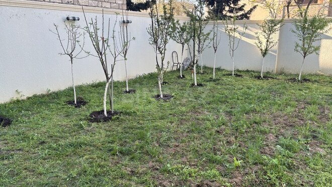9 otaqlı həyət evi/bağ evi - Fatmayı q. - 284 m² (15)