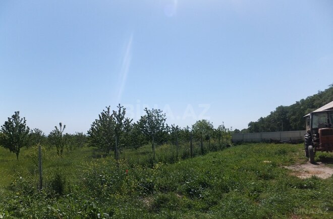 Продаётся  участок 316 сот, photo 19 from 21