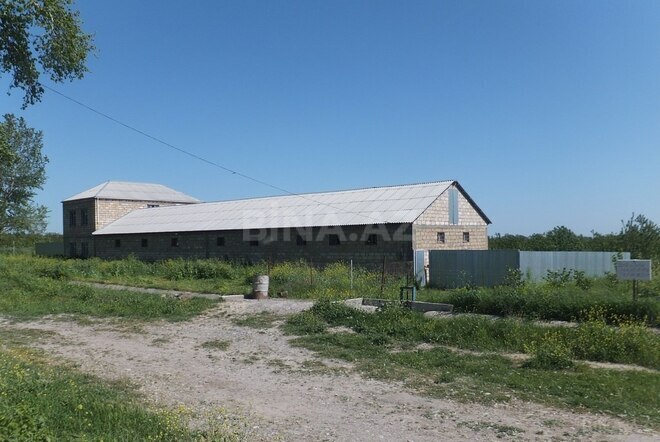 Продаётся  участок 316 сот, photo 3 from 21