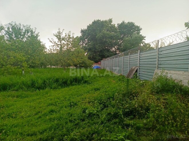 Участок - Исмаиллы - 50 сот (2)