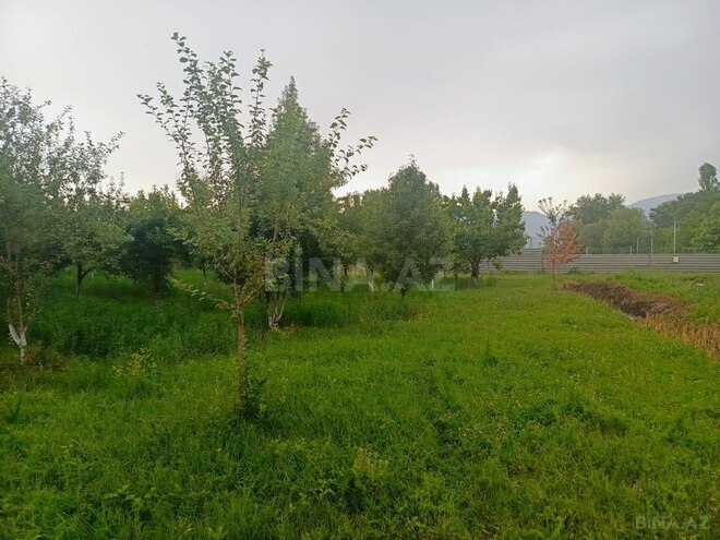 Участок - Исмаиллы - 50 сот (1)