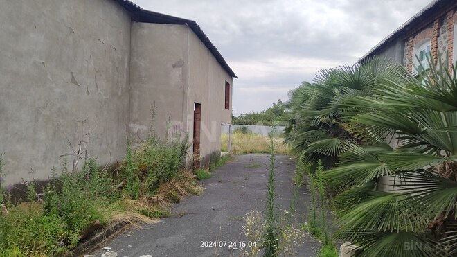 Satılır  torpaq 12 sot, photo 4 from 8