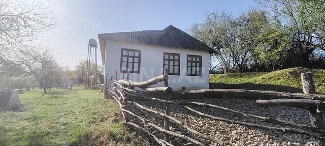 Həyət evi/Bağ evi - Qəbələ - 250 m² (20)